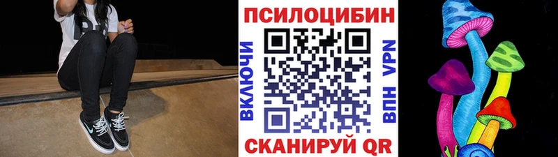 сайты даркнета клад mega зеркало Красково Галлюциногенные грибы Psilocybe
